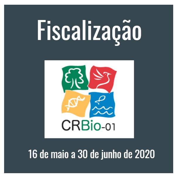 fiscalizacao