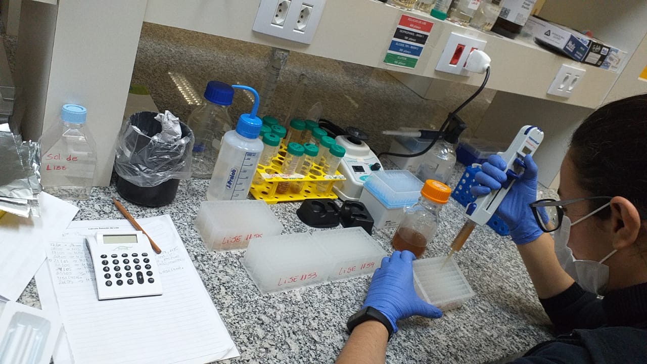 laboratorio