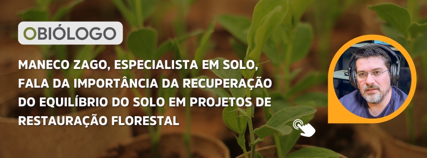 Maneco Zago, especialista em solo, fala da importância da recuperação do equilíbrio do solo em projetos de restauração florestal