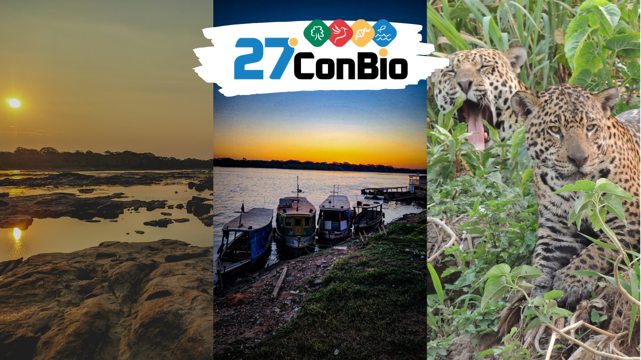 Concurso de Fotografias do 27º ConBio premia registros inspiradores da biodiversidade